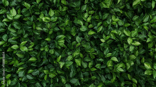 Lush Greenery Texture: A ca...