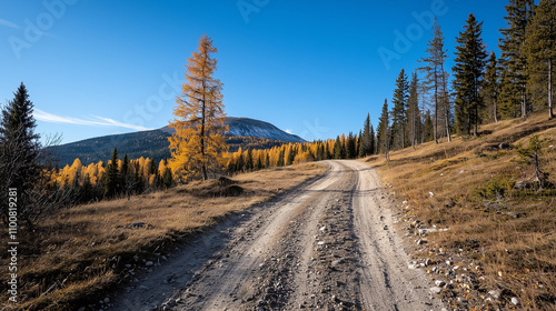 Autumn's Embrace: A winding...
