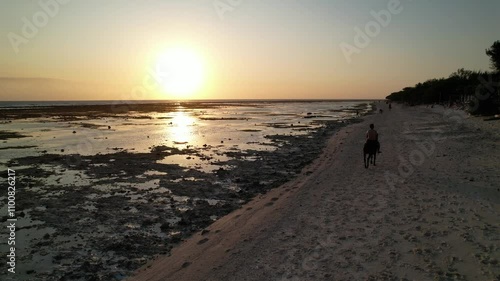 horse riding at sunset on the beach