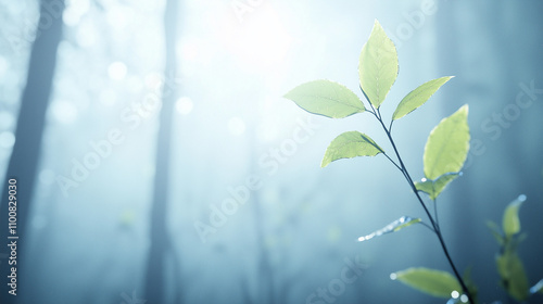 Whispers of Spring: A delic...