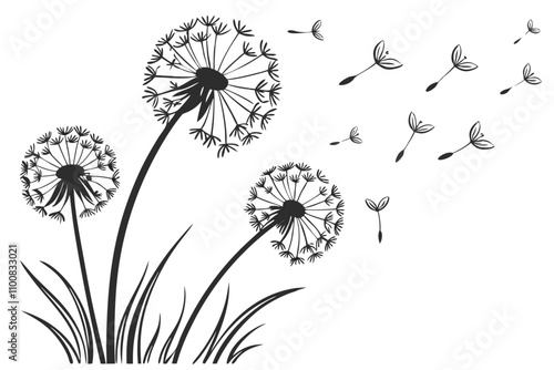 Dandelion flowers flying  grungy Chalk stroke effect  White Background D