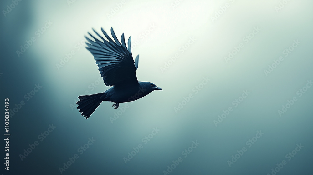 Fototapeta premium Solitary Flight: A majestic crow in flight, silhouetted against a soft, ethereal teal sky. The image evokes a sense of freedom and mystery.