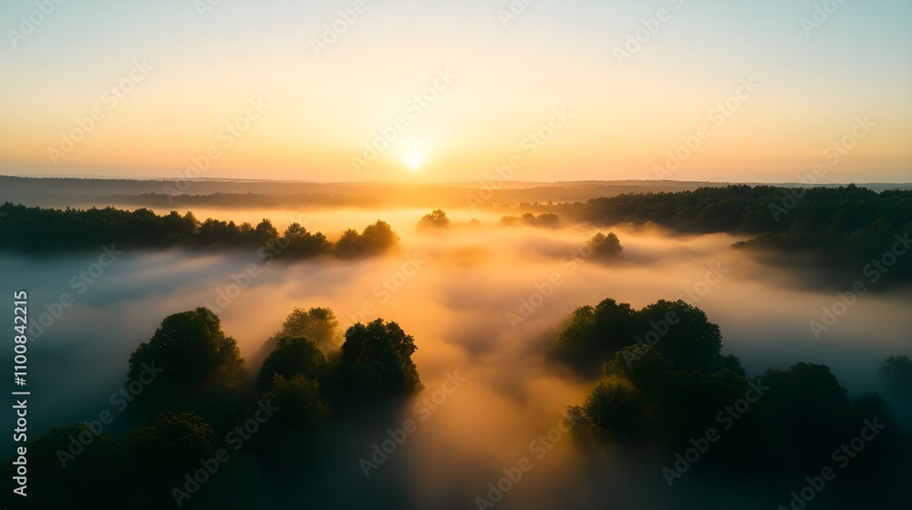 Sunrise Fog Forest Aerial View Sunrise Fog Forest Aerial View