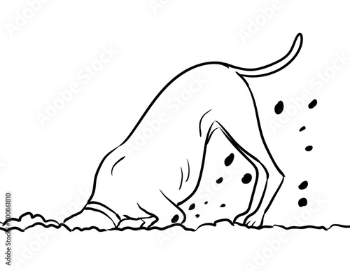 Drawing sketch style illustration of a dog frantically digging a hole in dirt on isolated background done in cartoon black and white line art.
