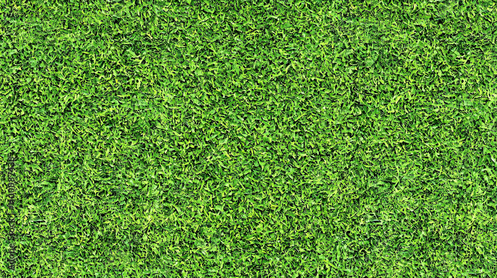 Fototapeta premium A vibrant green grass texture, showcasing a lush and dense appearance, ideal for landscaping or outdoor design.