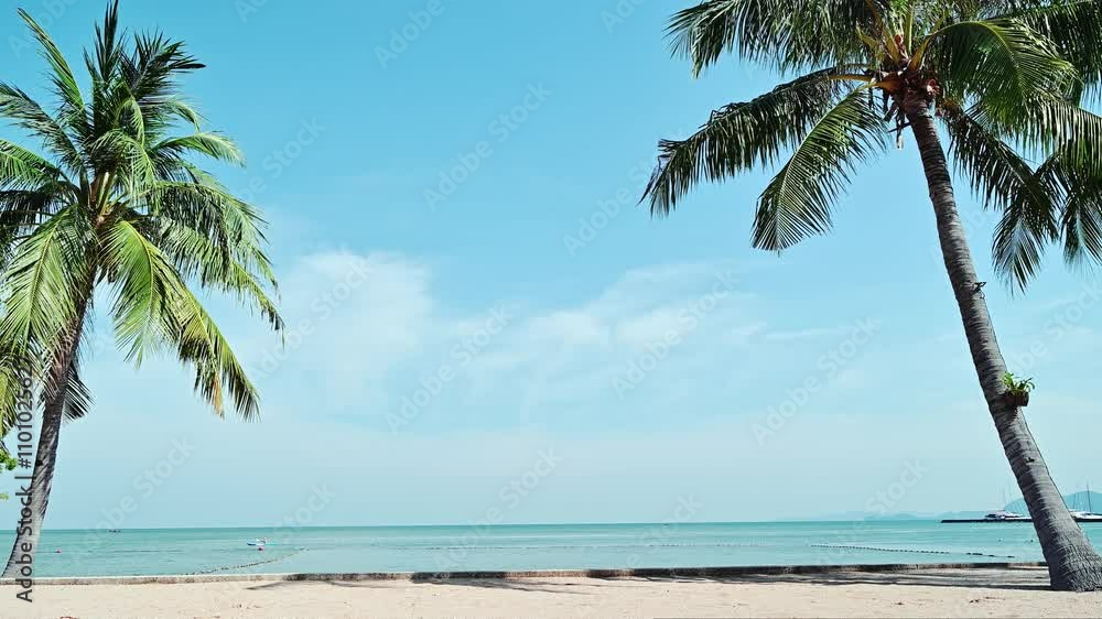 Coconut palm tree on the beach nature tropical palms in Thailand. Thailand sea and sky.Pattaya beach.
Coconut palm tree on the beach nature tropical palms in Thailand. Thailand sea and sky.Pattaya beach.