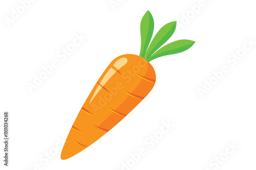 carrot food vector illustration white background