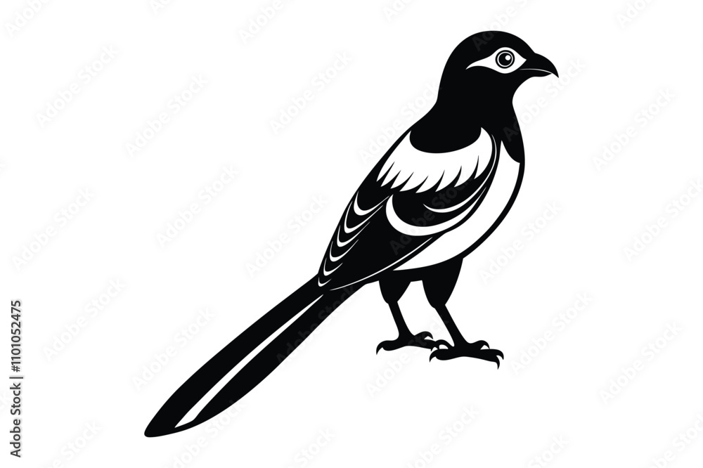 Obraz premium magpie vector illustration with white background
