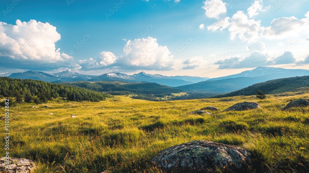 Fototapeta premium Rolling green hills and mountains under a bright blue sky