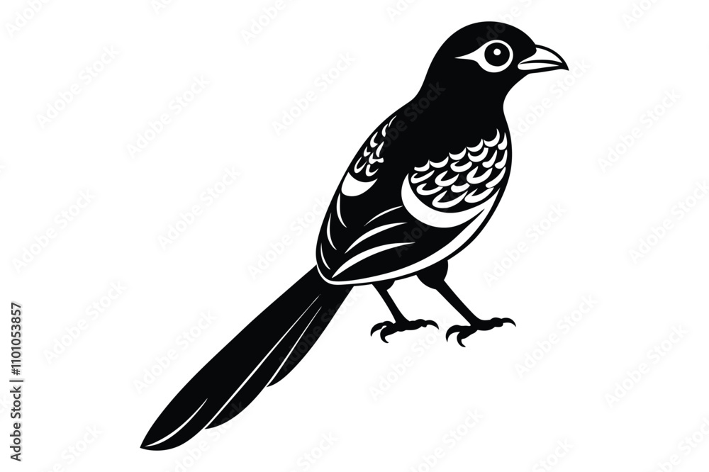 Fototapeta premium magpie bird animal silhouette vector illustration on white background