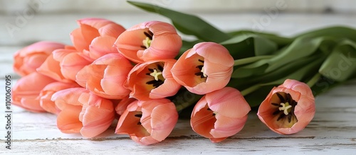 Bouquet of soft pink tulips elegantly arranged on rustic white wooden background for floral decor and design inspiration photo