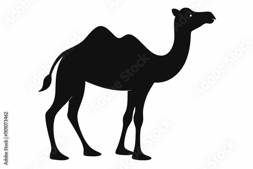 Black arabian camel silhouette isolated on white background