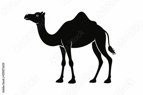 Black arabian camel silhouette isolated on white background