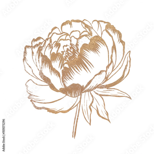 Golden Outline of a Peony Flower with Leaves on Black