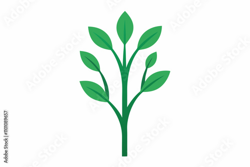 green plant isolated on white background