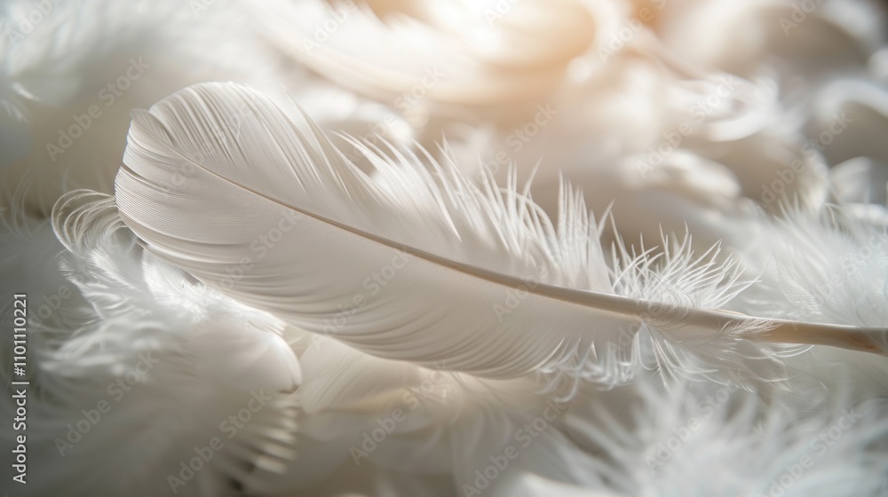 Fototapeta premium Delicate white feathers laid gently on a soft surface, illuminated by soft morning light, creating a serene atmosphere