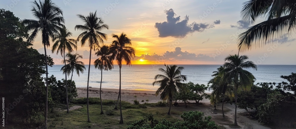 Obraz premium Serene sunset over a beach framed by lush coconut trees and tranquil waves creating a picturesque tropical paradise scene