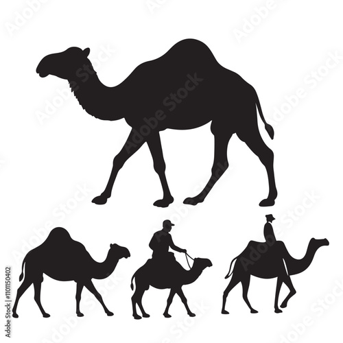 Set of black camels silhouettes on white background illustration