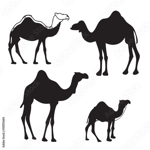 Set of black camels silhouettes on white background illustration