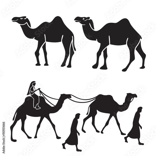 Set of black camels silhouettes on white background illustration