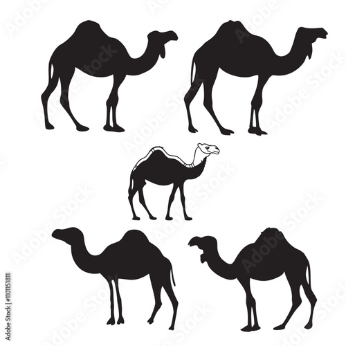 Set of black camels silhouettes on white background illustration