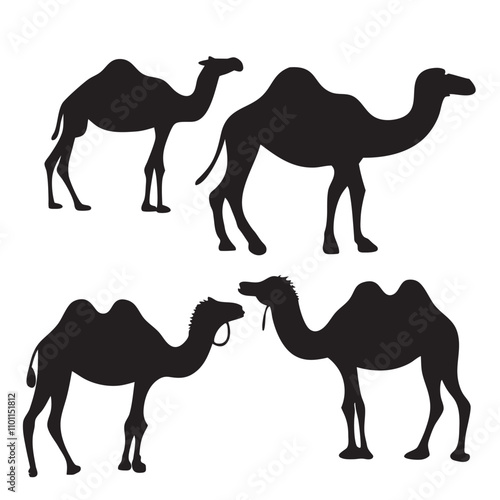 Set of black camels silhouettes on white background illustration