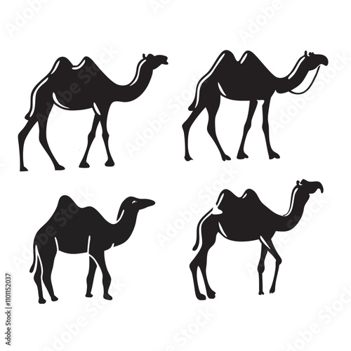 Set of black camels silhouettes on white background illustration