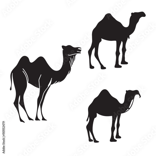 Set of black camels silhouettes on white background illustration
