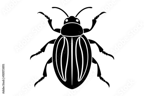 stag beetle isolated on white background