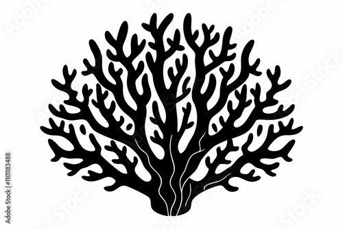 coral  silhouette vector illustration