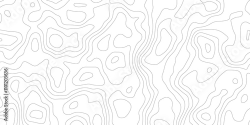 Abstract white background topography map. Topography map background geographic seamless pattern. topography map contour map background design.modern design with white background 