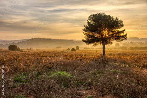 Sunrise on misty morning in south of france photo