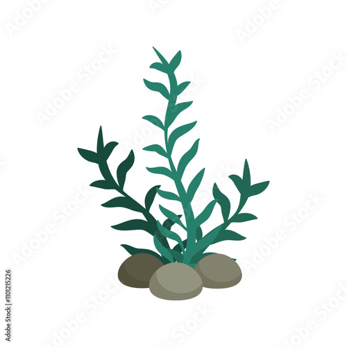 Underwater Plant Vector Illustration - 03