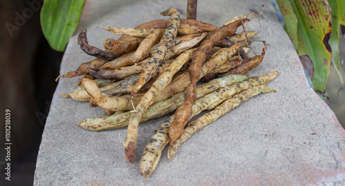 Dried Green Bean Seeds - Natural and Healthy Farming