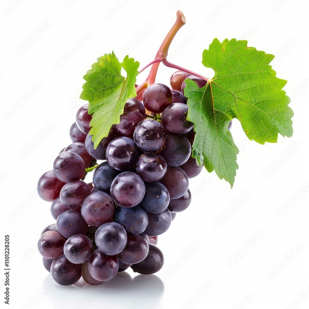 Fototapeta premium Fresh purple grapes hanging on the vine with leaves isolated on a white background