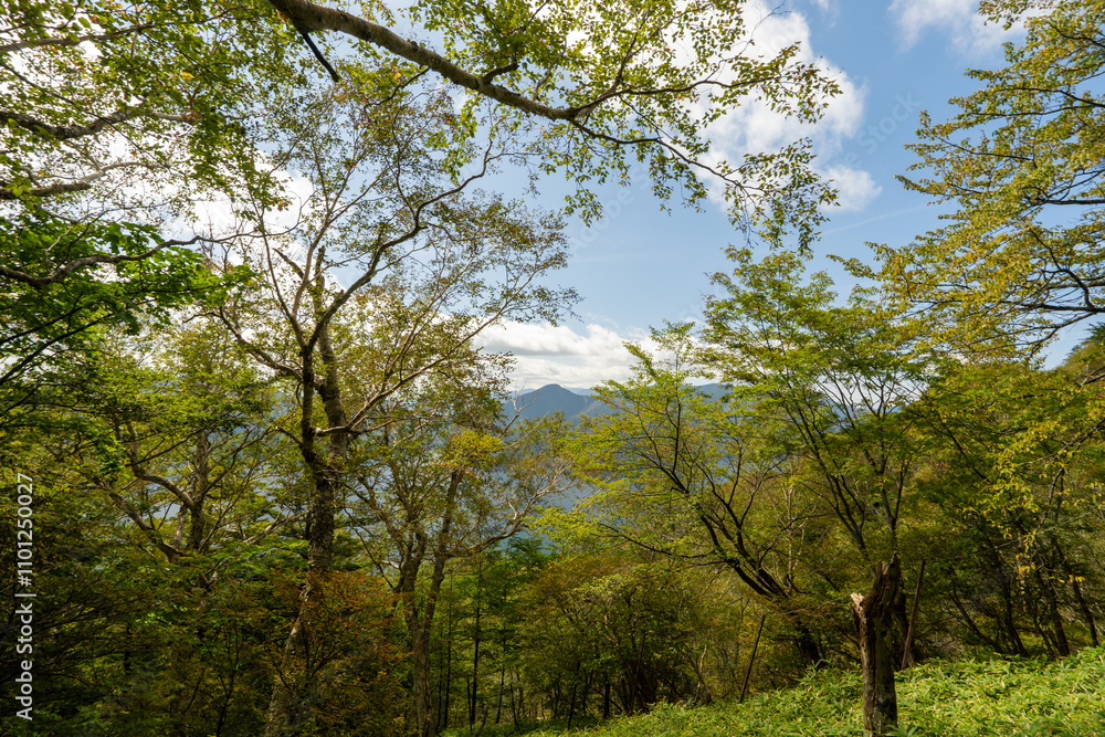 Fototapeta premium Futaarasan Shrine Chugu Shrine and Mt. Nantai
