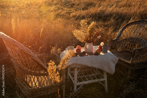 table with different fruits and autumn dried flowers and two wicker chairs in a field in the garden in the soft sunny sunset light. warm sunlight, calm state photo