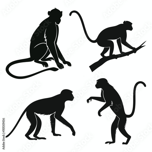 Set of monkey silhouette