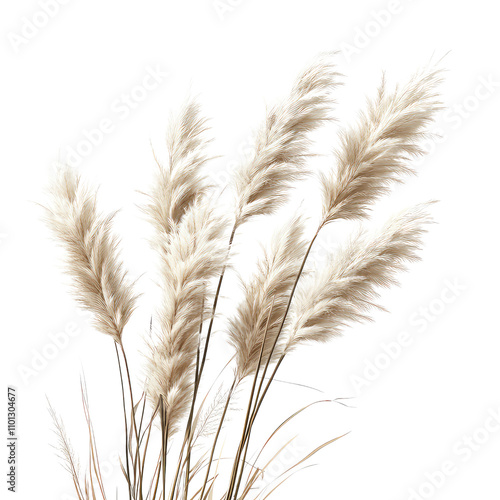 Reed Grass, Generative AI	
