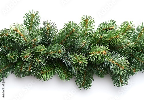 Lush evergreen garland with needle-like foliage on a white background

