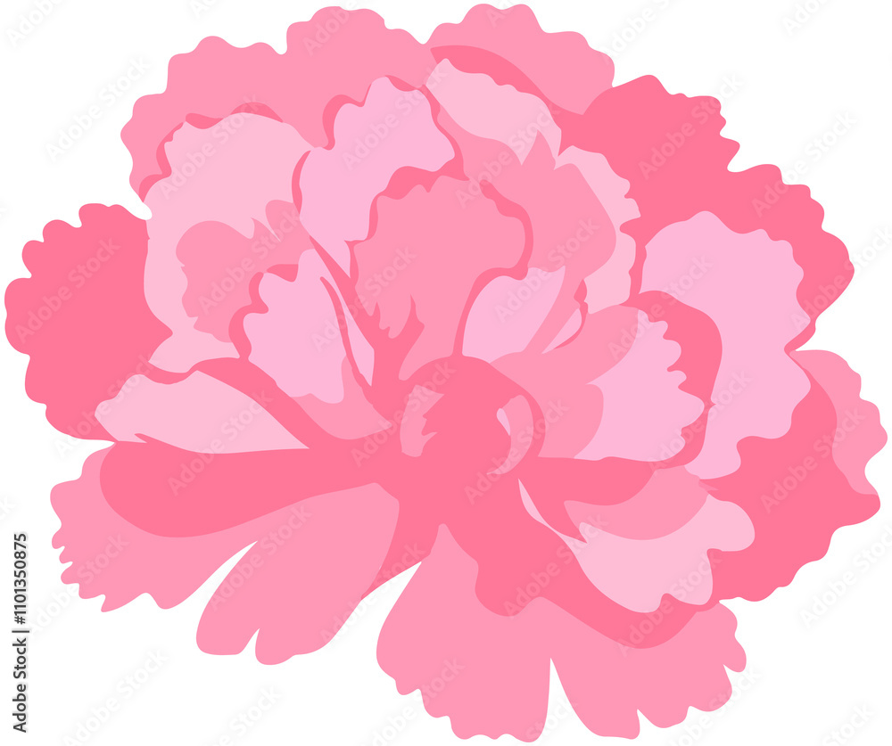 Fototapeta premium Carnation Flowers Decoration
