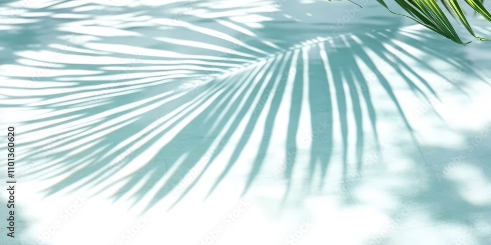Obraz premium water surface with tropical leaf shadow. 