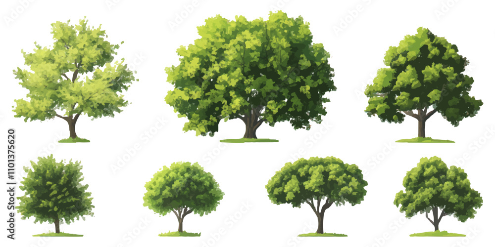 Fototapeta premium set of tree on a white background