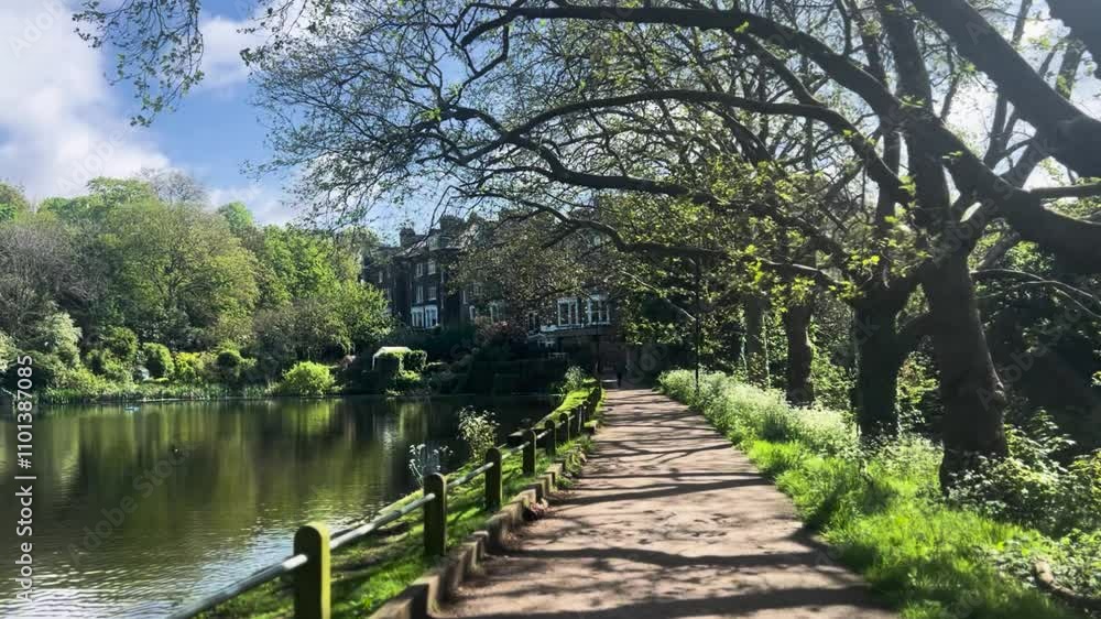 Strolling in a Quiet Park on a Sunny Day