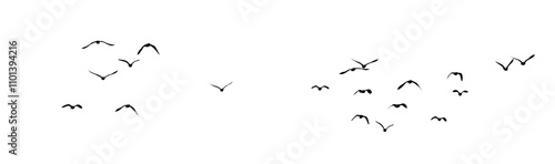 flock of birds silhouette isolated on transparent clear background