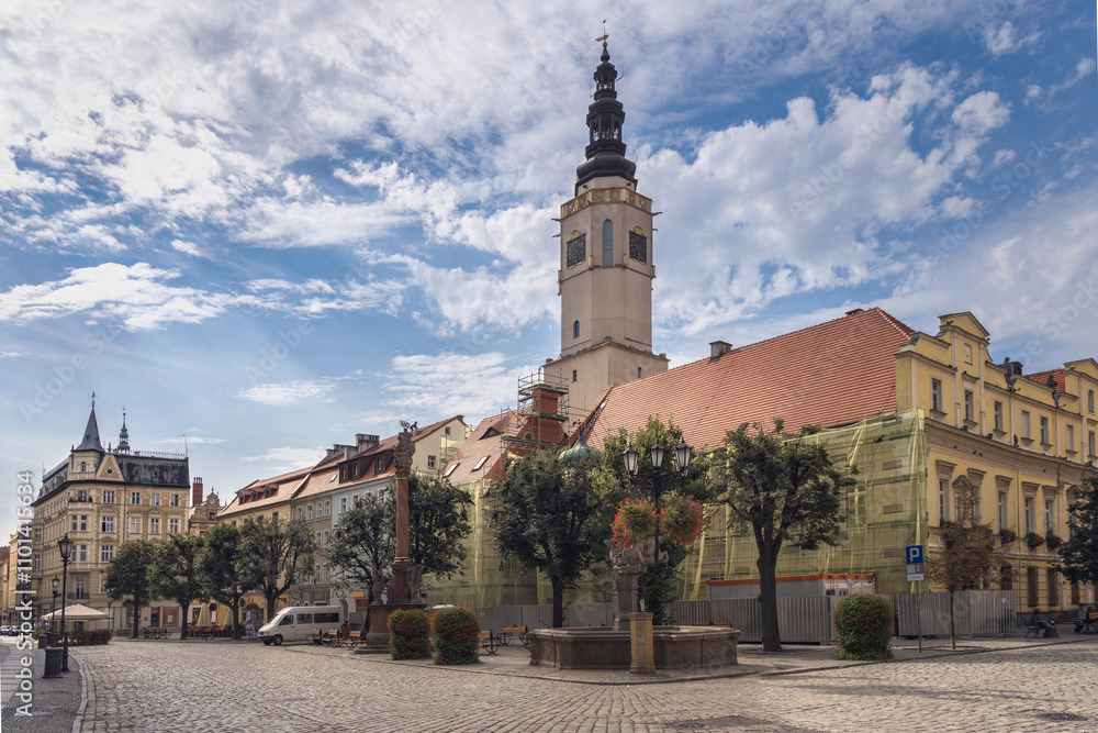 Fototapeta premium Historic Charm of Swidnica, Town Hall, Poland