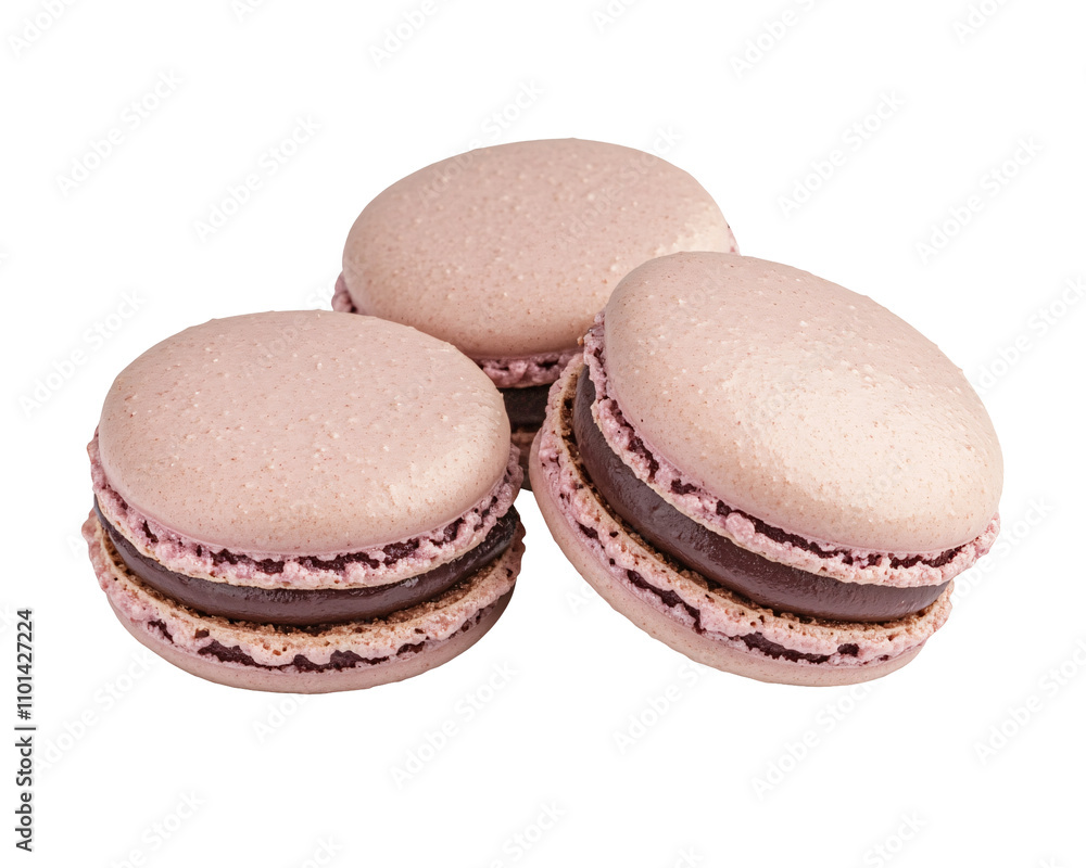 a group of cookies on a white background a group of cookies on a white background