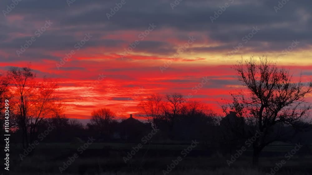Red sunset clouds over the dark trees. Red sunset clouds over the dark trees.