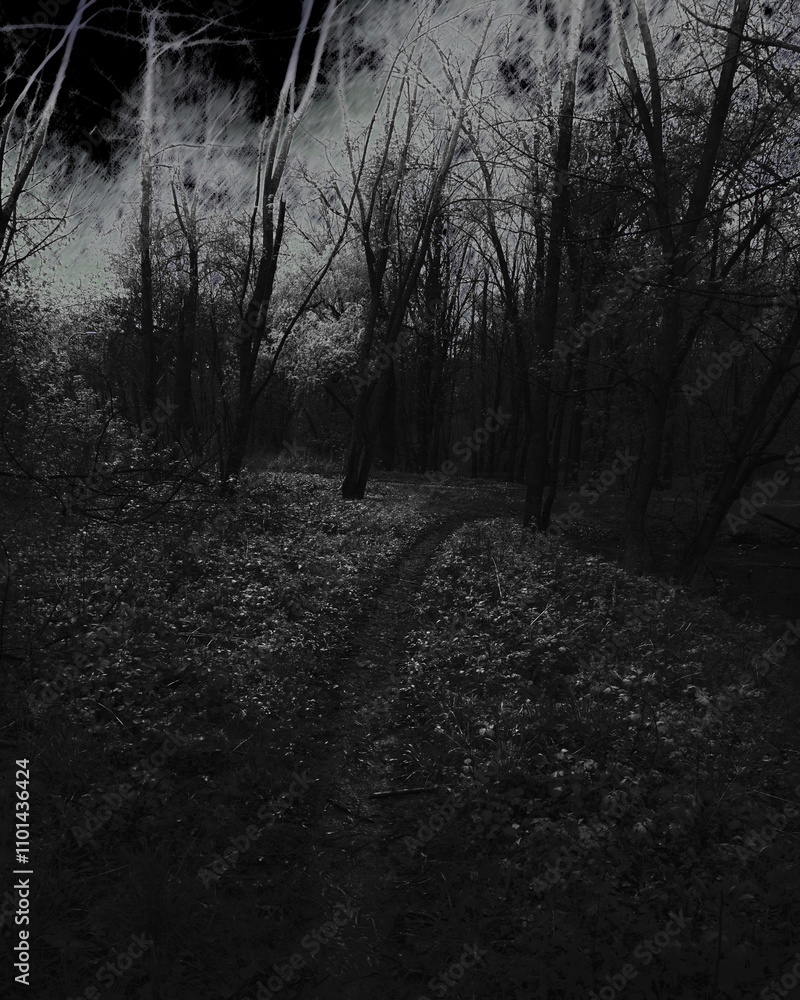 Naklejka premium Path in the dark forest, atmospheric horror woods, gloomy mood, black sky atmosphere 