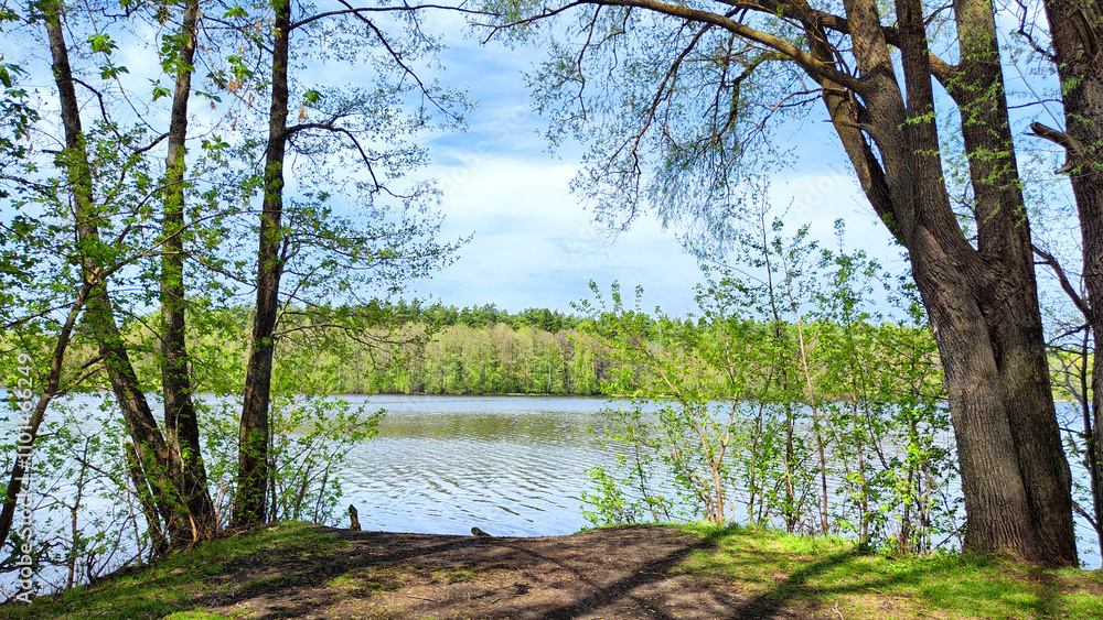 Tranquil lake surrounded by lush greenery under a bright blue sky in spring Tranquil lake surrounded by lush greenery under a bright blue sky in spring